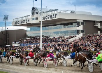 Pro Surfer could breaks Taylor’s drought
