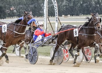 Dalgety makes dream start to harness racing career
