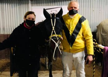 Former Kiwi trotting mare putting it all together