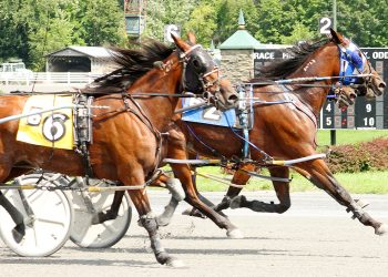 Trainer Andy Gardner has big day at The Spa
