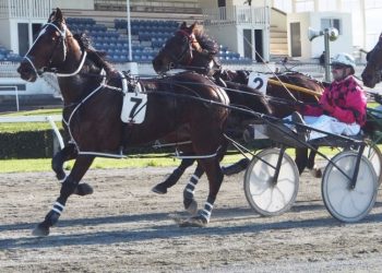 Drop back in grade suited American Mac