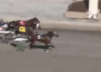 Closers capture Century Opens