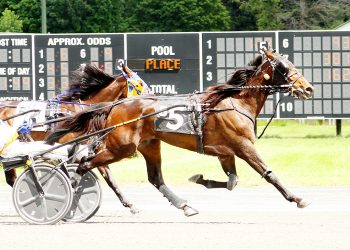 Bridge Works & Hennessey, perfect together