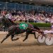 Exciting times ahead as Inter Dominion looms 2 ‘Make the best out of a bad situation’: Inter Dominion to go ahead