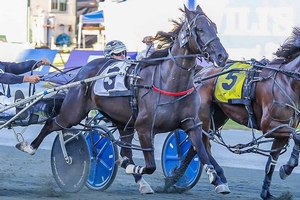 One to watch at Gloucester Park following strong trial