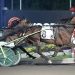 Bulldog Hanover scraps for OSS Gold victory 2 Bulldog Hanover scraps for OSS Gold victory