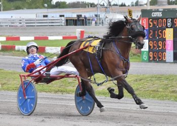 Yves Filion Stable heads Breeders Trophy Series