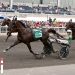 Hambo champ Captain Corey ready for return