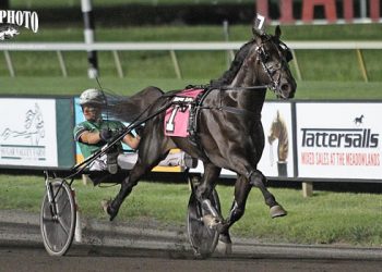 Svanstedt barn takes both Hambo elims