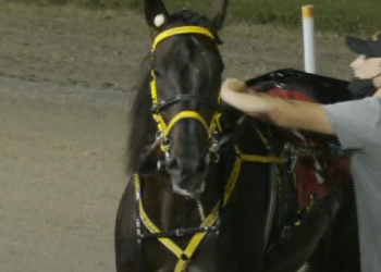 Big bounce back for Casimir Richie P