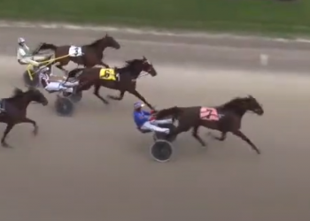 Charmbo Prince reigns in Hayter Memorial