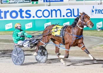 Jack of no trades is a real trots winner
