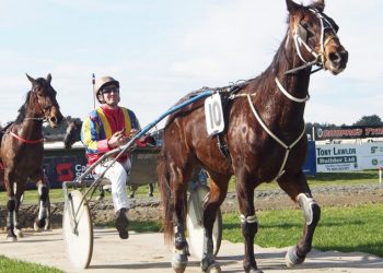 Bettor’s Delight gelding wins his second trot race