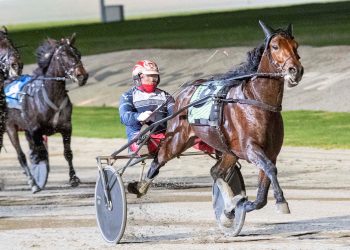 Star-studded field to do battle at Kilmore