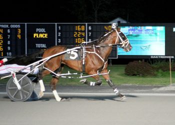 Crockets Cullen N takes another