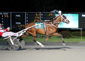 Crockets Cullen N back on top