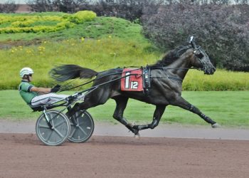 Captain Corey leads Sun Stakes Saturday coverage