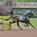 Jackson, Grant take trotting co-features