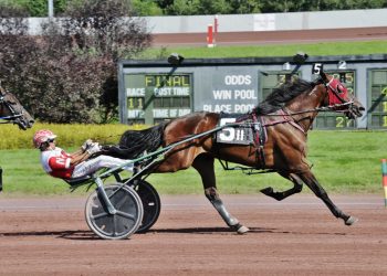 Trotting invaders captures Pocono features