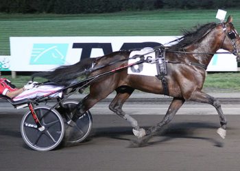 Svanstedt duo favored in $1 million Hambletonian