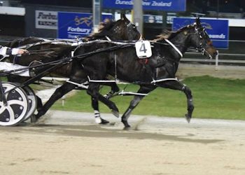 Harness racing auction ending tonight