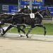 Harness racing auction ending tonight