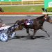 Queensland Harness Racing wrap 2 Queensland Harness Racing wrap