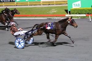 Queensland Harness Racing wrap