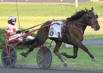 Duly Resolved remains perfect in Gold