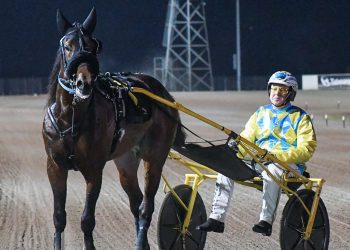 Terang Stallion Tender opens Wednesday