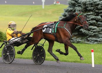 Felt Tip Marker on point in Grassroots action