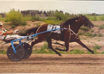 Manitoban filly remains unbeaten in Yonkers debut