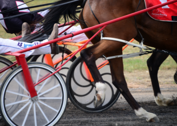 Driver found guilty for flicking female driver with his whip