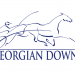 Gateway Casino move threatens Georgian Downs 1 Geldings break maidens at Georgian