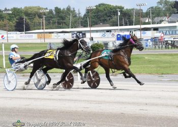 Titanic effort from Golden Kronos