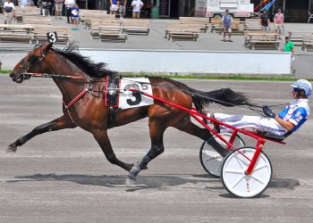 Toscano trainees favored in NYSS