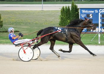 Grassroots contenders break records