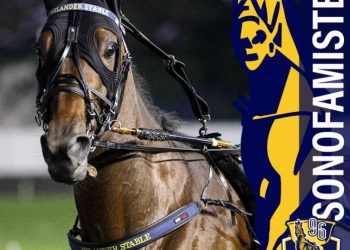 Aussie breeder chasing $1million Hambletonian success
