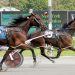 $141,000 NYSS battles at The Spa