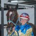 Queensland harness racing wrap