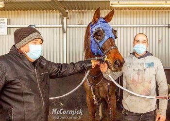 Family fun with dual-code dabble