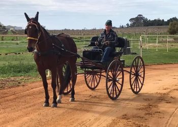 “Hopper” hones buggy skills for later on