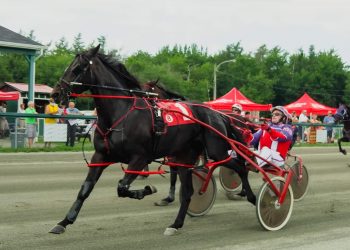 Hotlikewasabi brings the heat at Northside