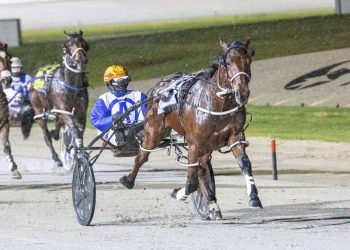 Victorian horsewoman flies past 100 training wins