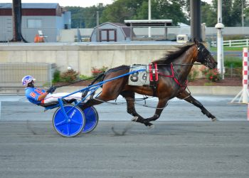 Jack’s Legend N dominates, Davis wins four