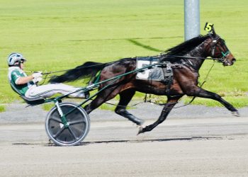 Tioga Downs Spotlight: Jeffrey Long