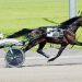 Tioga Downs Spotlight: Jeffrey Long