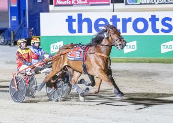 Explosive trotter back from fractured knee