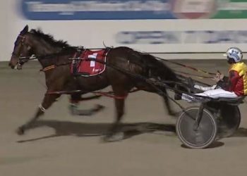 Four from four this season, can Fernando make it five straight?