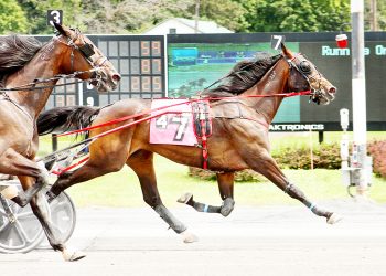 KS Dream upsets with fourth straight win